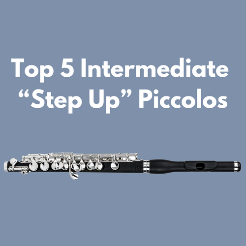 Top 5 Intermediate “Step Up” Piccolos
