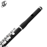 Haynes Piccolo Q-Series P6 - Grenadilla Wood - New