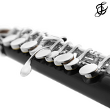 Haynes Piccolo Q-Series P6 - Grenadilla Wood - New