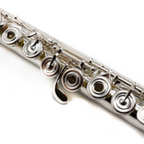 Amadeus by Haynes Model 482 Flute - New