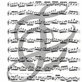 Partita in A minor, BWV 1013 (Flute Alone)