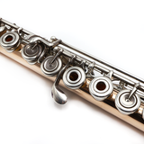 Brannen Custom #582 - 9K Gold, Offset G, Split E Mechanism, C# Trill Key, D# Roller, Convertible C/B Footjoint