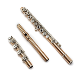 Albert Cooper Flute #1024 - 14K gold, inline G, B footjoint