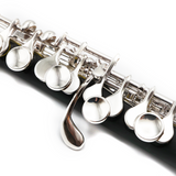 Gemeinhardt Piccolo Model 1P New