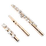 Haynes Classic Flute Q-Series Model Q-Fusion - New