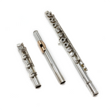 Haynes Custom #41095 - Coin silver, inline G, B footjoint, 14K gold lip plate and riser