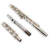 Trevor James Virtuoso #M2034 - Sterling silver tube, silver-plated mechanism, offset G, split E mechanism, B footjoint