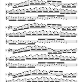 17 Daily Exercises Taffanel & Gaubert: Choi Edition (Studies and Etudes)