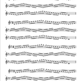 17 Daily Exercises Taffanel & Gaubert: Choi Edition (Studies and Etudes)