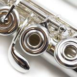 Trevor James Privilege Model Flute - New