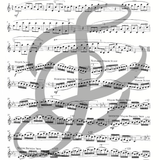 The Flutist's Vade Mecum, Second Edition