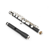 Haynes Amadeus AP-86 Piccolo - Grenadilla Wood - New