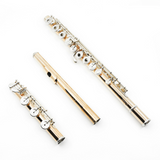 Powell Conservatory Flute in 9K Aurumite - New (Custom Order)