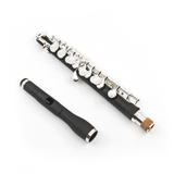 Di Zhao Piccolo Model DZP-102 - New