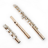 Di Zhao Handmade DZ GS-D Flute - New