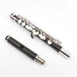 Gemeinhardt Piccolo Model 4WSSK - New