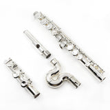 Jupiter Flute Model 700WE (formerly Prodigy Model 510 Waveline) - New