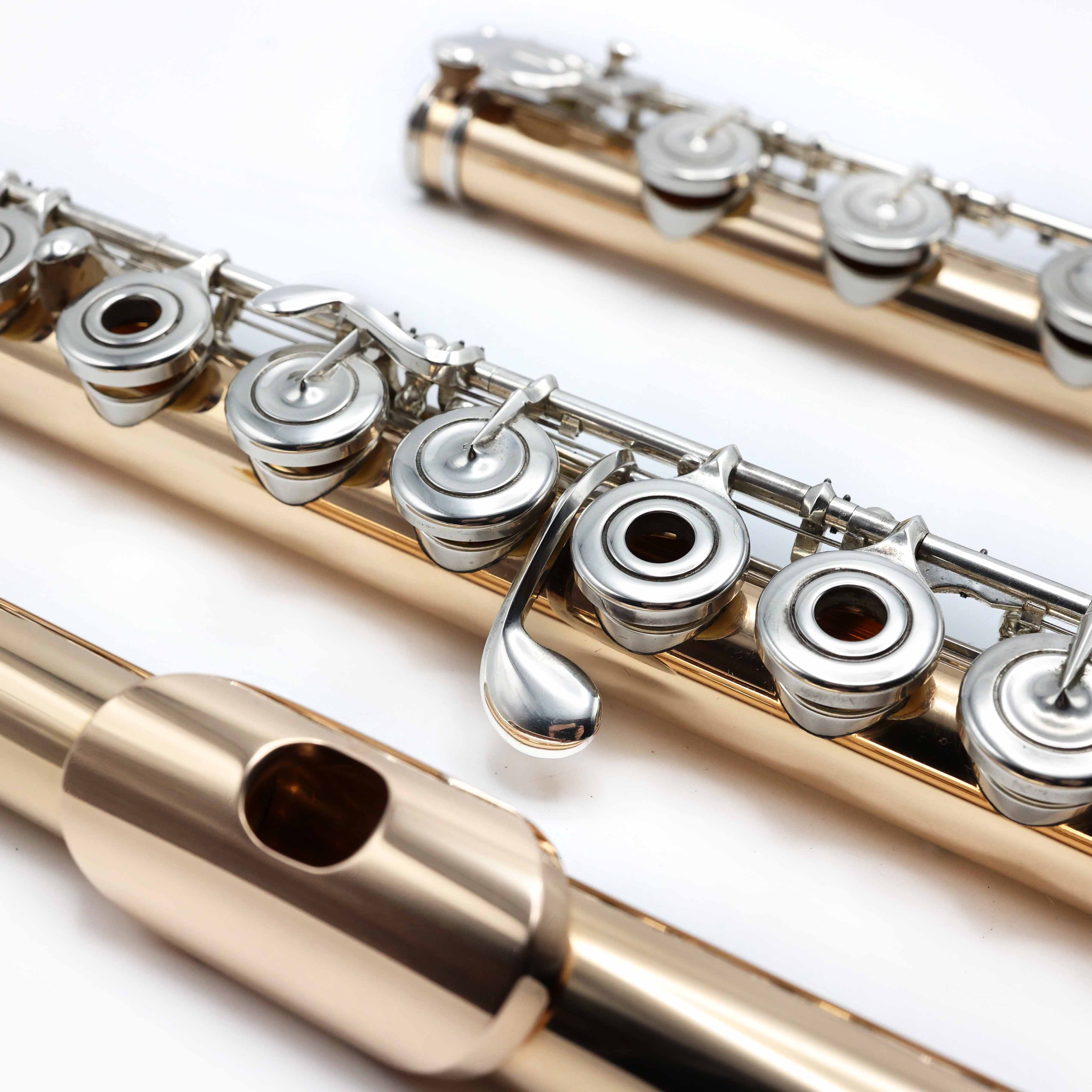 Mateki #1001 - 14K gold, Inline G, B footjoint – Flute Center