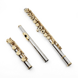 Powell Handmade Custom Flute in Platinum with Gold Mechanism - New (Custom Order)