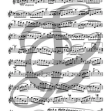 Selected Studies for Flute (Studies and Etudes)