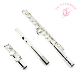 Trevor James Model 10XC Beginner Flute - New