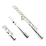 Trevor James Model 10XC Beginner Flute - New