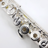 Trevor James Privilege Model Flute - New