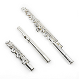 Trevor James Virtuoso Model - New