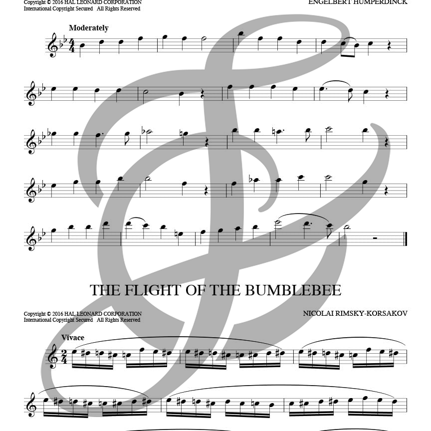 101 thèmes classiques (arrangements populaires)