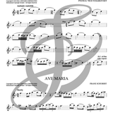 101 Classical Themes (Popular Arrangements)