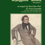 "Arpeggione" Sonata - Movement 1 (Flute Choir)