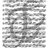 The Progress in Flute Playing, Opus 33, Volume II. 12 Studies of Medium Difficulty (Studies and Etudes)