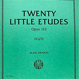 Zwanzig kleine Etüden, op. 132 (Studien und Etüden)