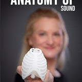 Anatomy of Sound: An Invitation to Discover the Inner Musician