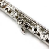 Altus 907 #037910 - Britannia silver headjoint, offset G, B footjoint