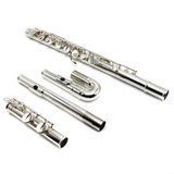 Altus 821SE Alto #A2846 - Sterling Silver Lip Plate, Straight and Curved Headjoints, Split E Mechanism