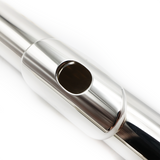 Altus 821SE Alto #A2846 - Sterling Silver Lip Plate, Straight and Curved Headjoints, Split E Mechanism