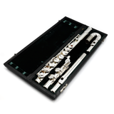 Altus 821SE Alto #A2846 - Sterling Silver Lip Plate, Straight and Curved Headjoints, Split E Mechanism