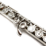 Altus 907 #009952 - Solid silver headjoint, offset G, split E mechanism, closed hole keys, C footjoint