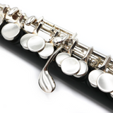 Haynes Amadeus AP-46 Piccolo - Composite - New