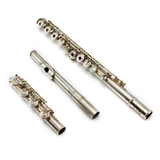 Amadeus 680 #B2202969 - Sterling Silver Headjoint, Offset G, B Footjoint