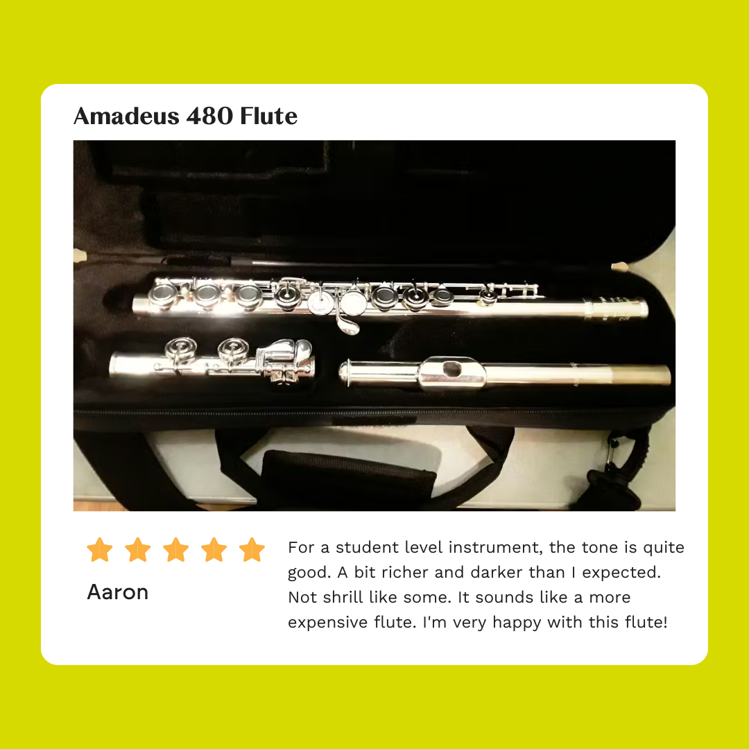 Amadeus by Haynes Model 480 Beginner Flute - New
