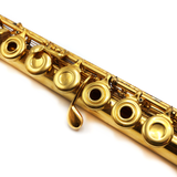 Armstrong 82 n° 81075 - Tube en argent massif plaqué or, patte de sol et de si en ligne