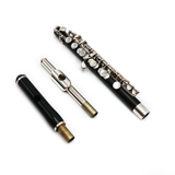 Armstrong Piccolo #3711176 - Composite Body, Two Headjoints