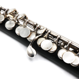 Armstrong Piccolo #3711176 - Composite Body, Two Headjoints