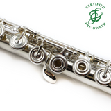 Azumi 3 #YD04363 - Sterling silver tubing, offset G, B footjoint