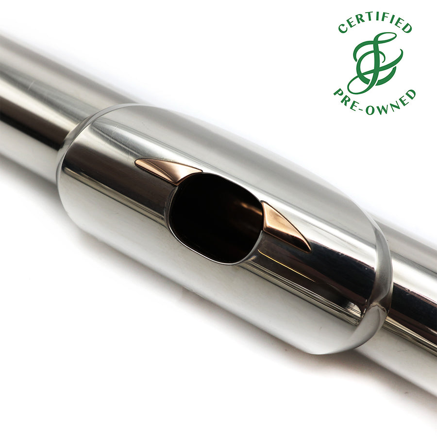 Brannen Custom 7445 Kingma System, sterling silver flute, offset G