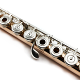 Brannen Custom #187 - 9K gold, inline G, B footjoint, 14K gold headjoint