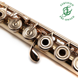 Brannen Custom #3233 - 9K gold flute, 14K gold tone holes and mechanism, inline G, B footjoint, 10K gold headjoint