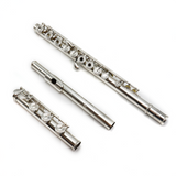 Brannen Custom #761 - Argent sterling, sol en ligne, pied de si, paroi mince
